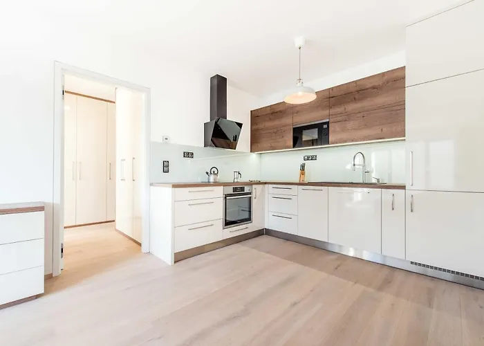 Quiet & New Near Center With Garage * Prag